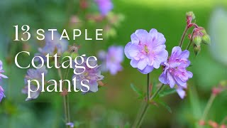 13 MUST GROW COTTAGE PLANTS for sun & shade *PLANT HAUL* 💜 (I can't choose a favourite ! 🫣😱)