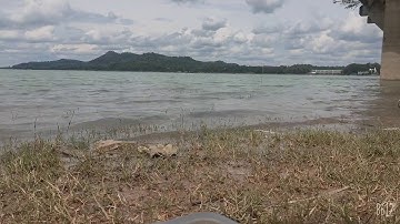 Câu cá hồ dầu tiếng