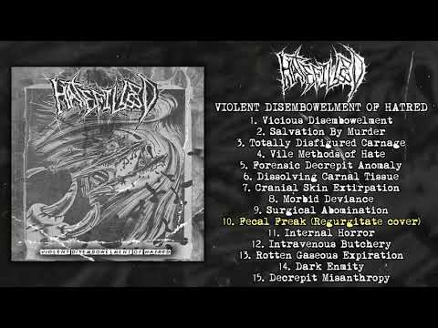 A Manual Of Heinous Ways In Disembowelment artwork