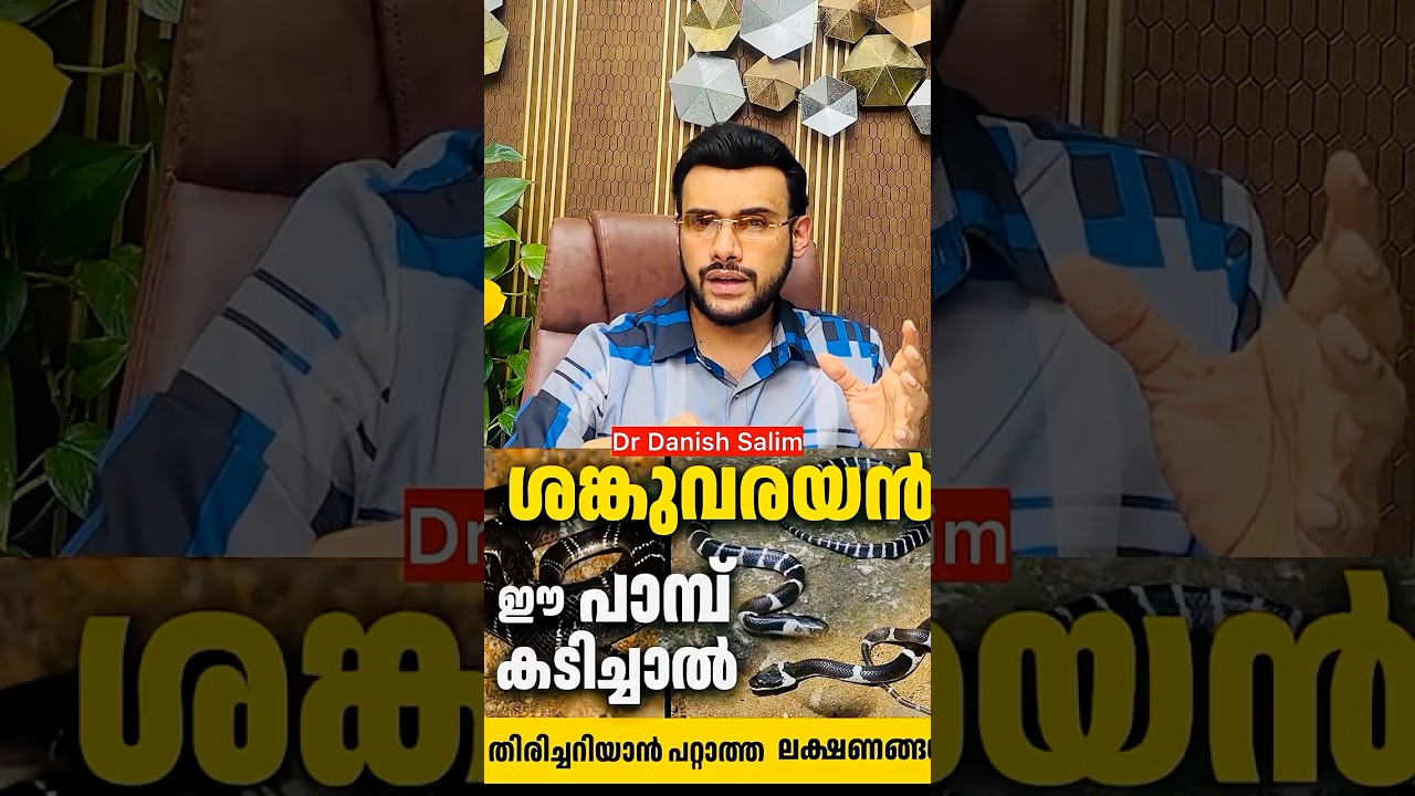 2566 : ഉറക്കത്തിനിടയിൽ പാമ്പ് കടിയേറ്റാൽ എങ്ങനെ തിരിച്ചറിയാം? | Common Krait Bite Symptoms