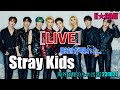 'Stray Kids' 彫刻が現れた。 [LIVE]