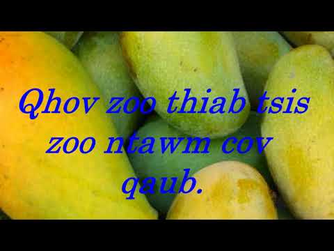 Video: Cov Txiaj Ntsig Ntawm Cov Khoom Noj Kom Zoo