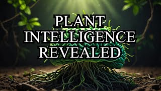 Uncovering the Amazing Secrets of Plant Intelligence