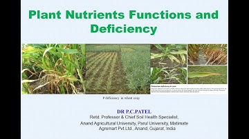 Plant Nutrients Functions and Deficiency By Dr. P. C. Patel