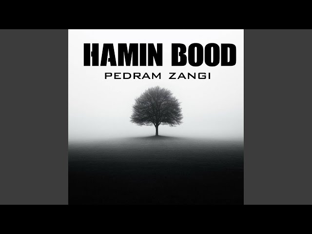 Hamin bood