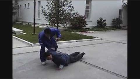 Baguazhang Form & Application, "Close the Door, Push the Moon"