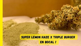 JDB#169: Final Weigh-In and Hash-Making!