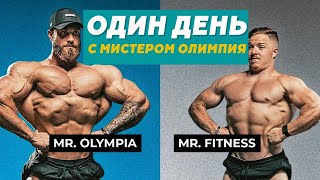 видео: Один день из жизни Криса Бамстеда (при участии Ноя Олсена) картинка: Один день из жизни Криса Бамстеда (при участии Ноя Олсена)