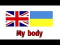 My body - Моє тіло | Нові слова