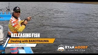 Best way to release fish swollen with Barotrauma