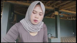 Memasak Buat Makan Siang Dengan Ikan Nila Goreng, Tumis Kangkung & Tahu Isi