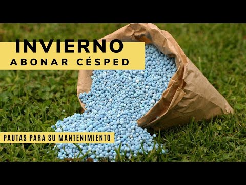 Video: Invernar El Césped