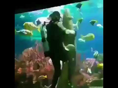 حشيش حاجه تيجي كده انت حبيبي كده