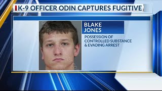 K-9 officer helps Cherokee County deputies arrest man who was target of manhunt