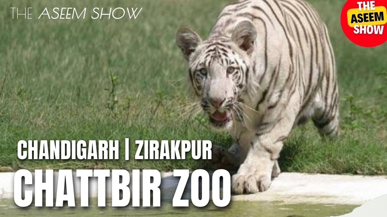 Chattbir zoo Vlog | Zirakpur | Chandigarh | Mohali | The Aseem Show