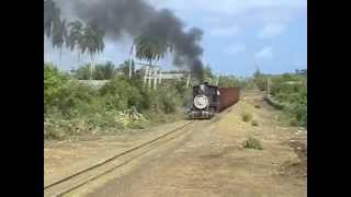 Celebrity Steam in Paradise 2005 - Part 2 Net Worth
