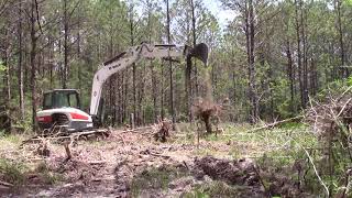 Bobcat E85 clearing land
