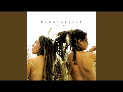 在 YouTube 上觀看「Maca E」