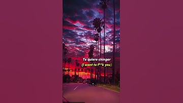 Thumbnail of ✨GATA ONLY LYRICS✨ ( but with English translation 😅 )