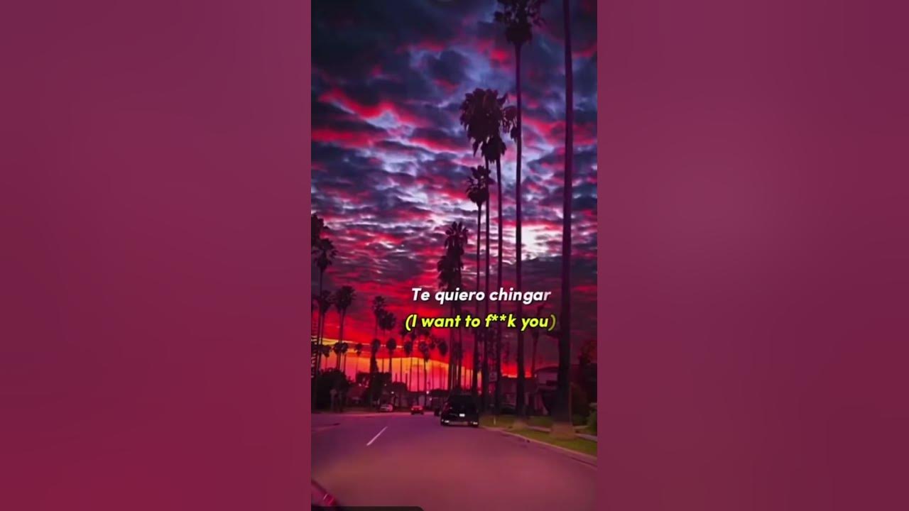 gata-only-lyrics-but-with-english-translation-youtube
