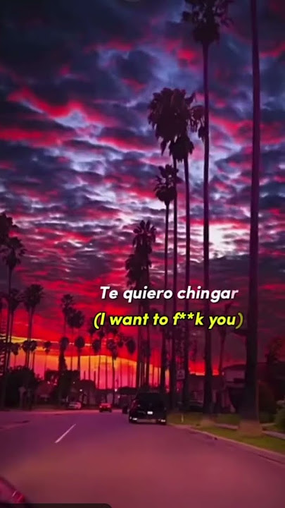 ✨GATA ONLY LYRICS✨ ( but with English translation 😅 )