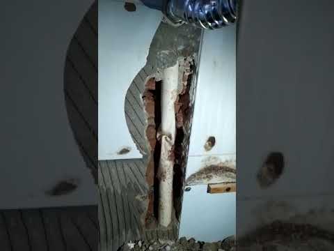 Vídeo do atendimento realizado pela Clean Desentupidora
