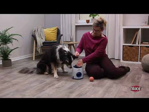 Video: Treat Hundespielzeug
