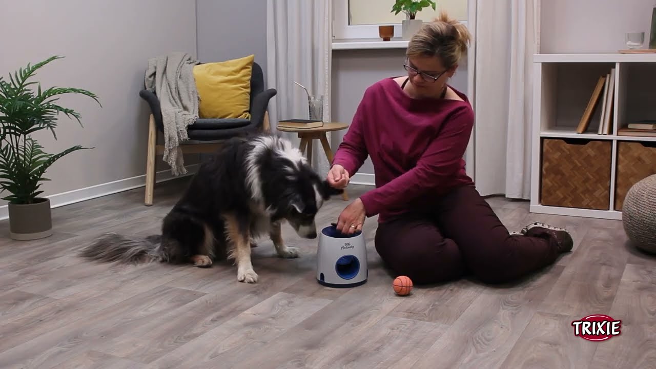 TRIXIE Dog Activity Ball and Treat Strategy Game, Level 3