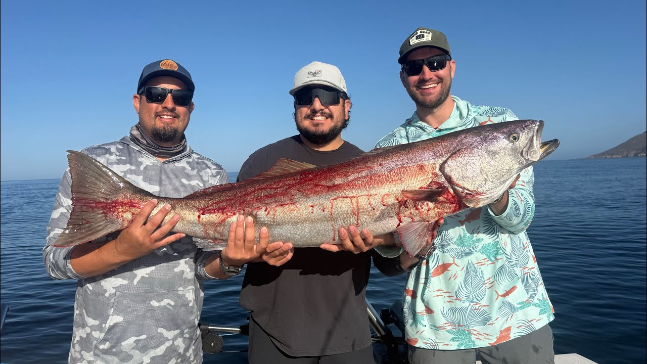 White Sea bass and halibut fishing with Central Coast Fishing Charters Morro Bay, Ca