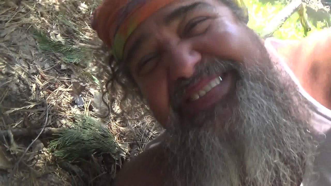 Bear's 53 in Yosemite