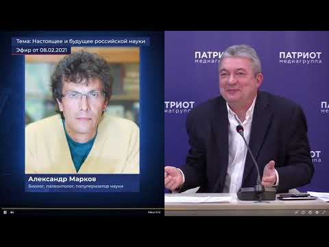 Video: Leonid Markov: Biografi, Kreativitet, Karriere, Personlige Liv