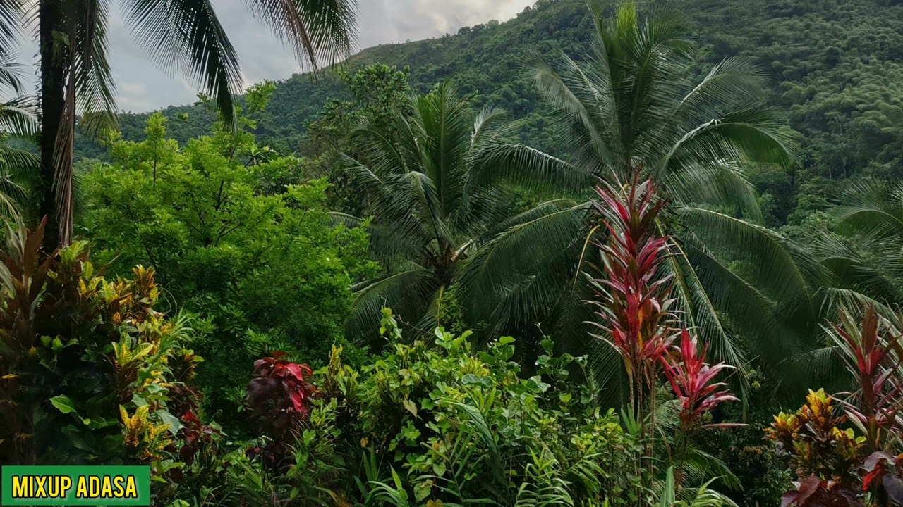 TGAL ACUUS€ MlS$ L0THLAN OF THIS,/ 99 BOXES REACH A YARD