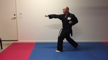 Shukokai Basic Combinations 1-4a