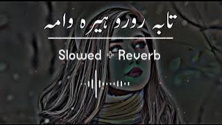 Taba Roro Hera Wama (Slowed Reverb) Pashto Song | Sad Song | Lofi Song | New Song 2022