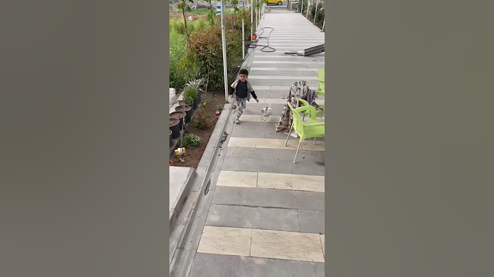 The poor dog just wanted to play😭 | #funny #dog #memes