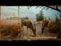 Sing Noel - African Christmas Song (HD)