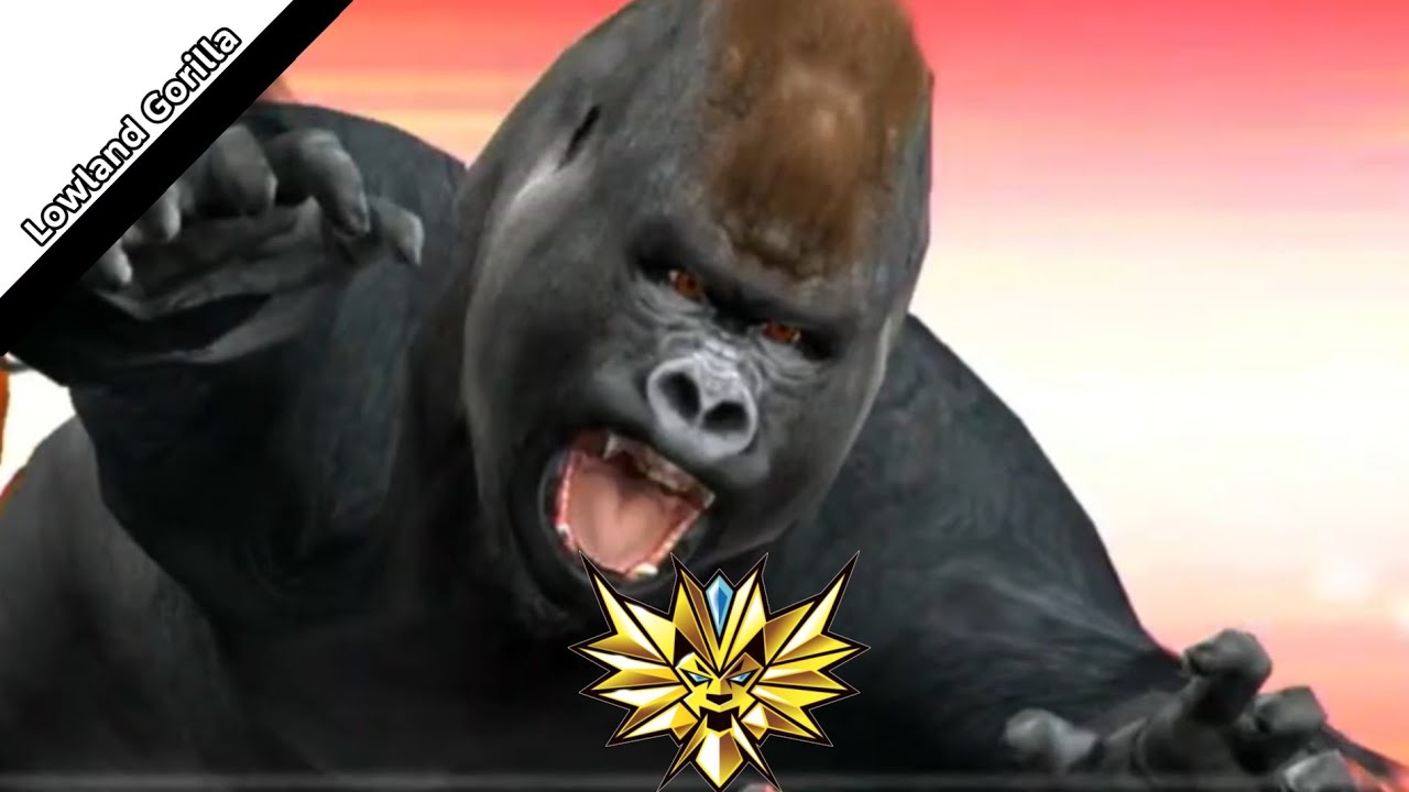 maxresdefault.jpg