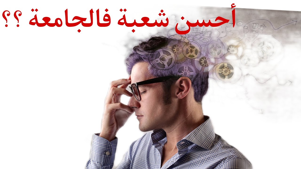 (SMP, SMC, SMI, SMA) : معلومات مهمة عن التخصصات الجامعية