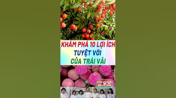 Khám Phá 10 Lợi Ích Tuyệt Vời Của Trái Vải#biquyetsongkhoetre #song #health #shorts