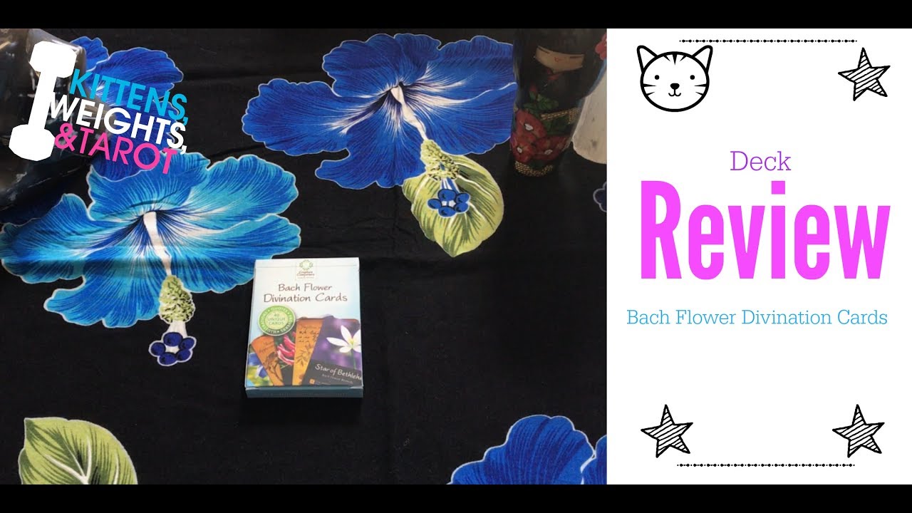 Bach Flower Divination Cards + Review
