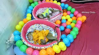 Wow, Wonderful Bed Dad Design New Bed For Cutie Dodo And Mori