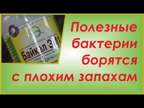 Рецепты вкусных новогодних блюд с фото