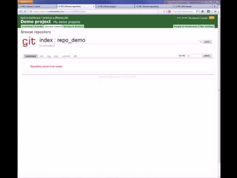 WebEnabled: Git setup