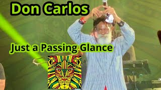 Don Carlos - Just a Passing Glance Reggae Rotterdam #reggae