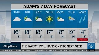 Warm November days continue