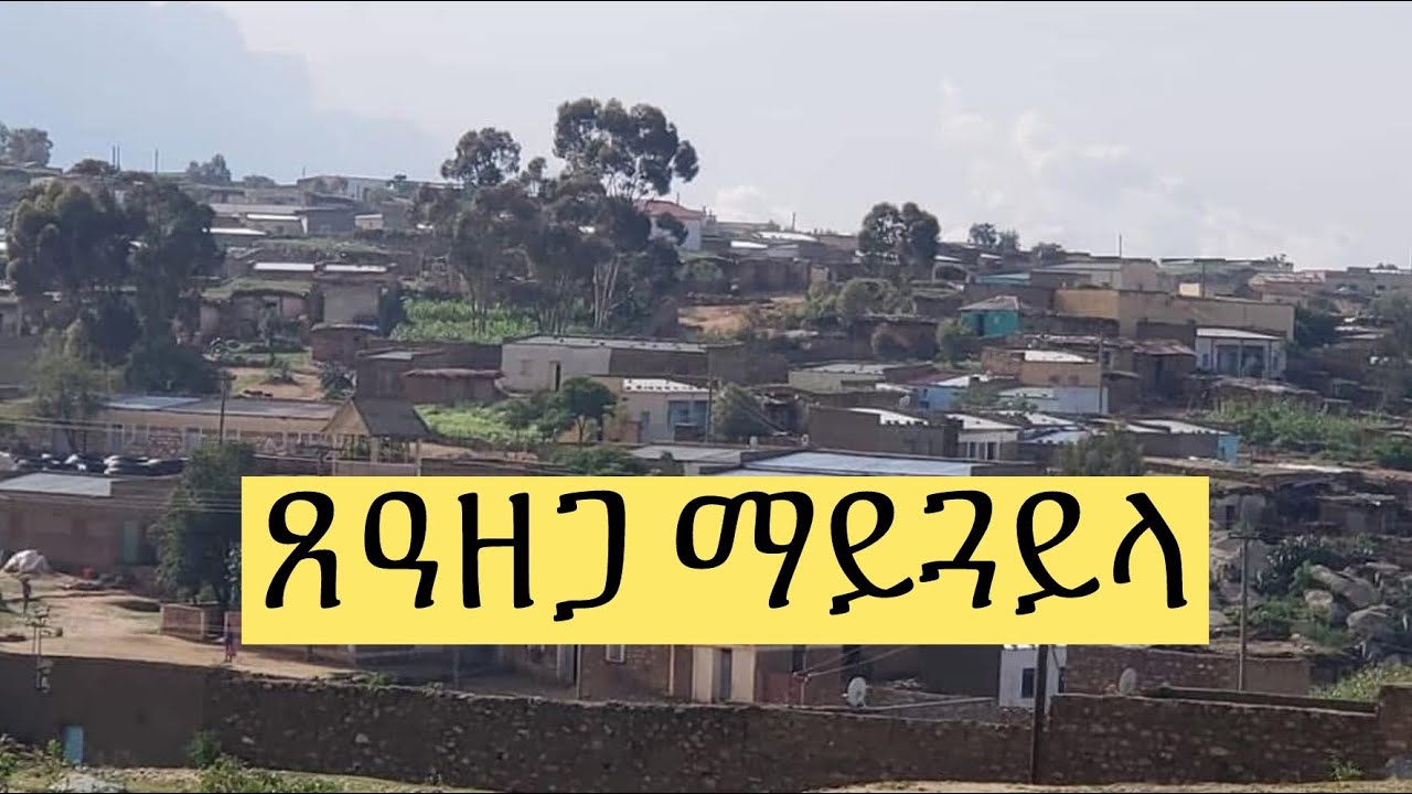 Tseazega/ጸዓዘጋ 