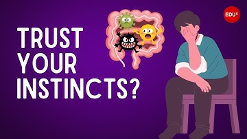 The Science Behind Gut Feelings | Why Your Intuition Is Smarter Than You Think ⏲️ 10 Minutes English