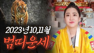 [10,11월 범띠운세] 띠별운세 종합운세 사주 신점 영점 용한무당 대구점집 동구점집 금전 문서 매매 연애 …