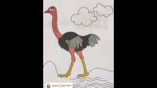 Ostrich Coloring Shorts