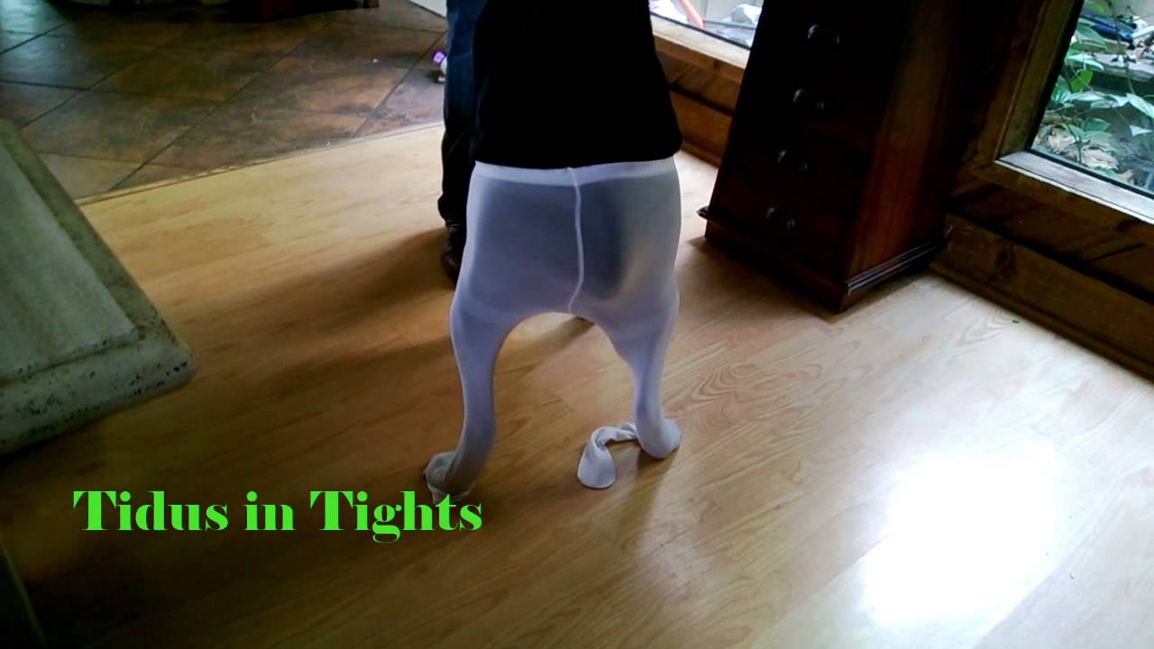 dog in tights YouTube